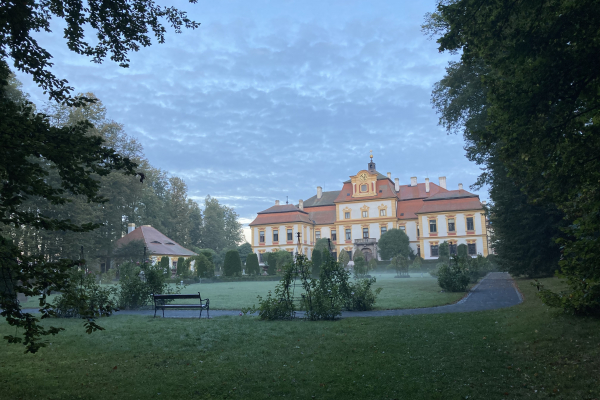 Brzy ráno rosarium