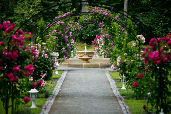 Rosarium začátek 